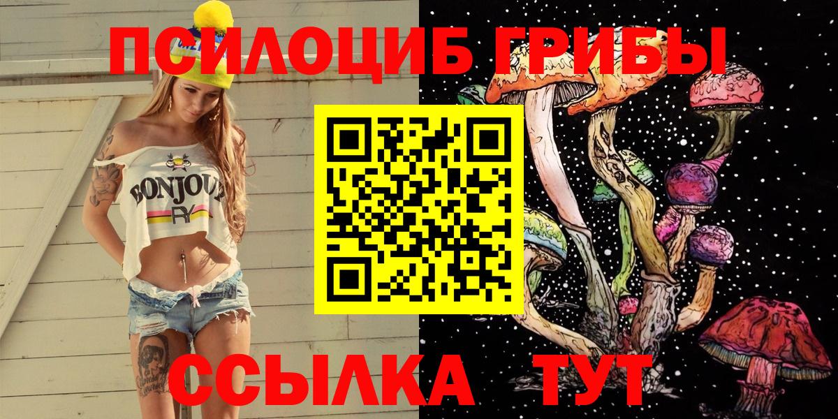 цены наркотик  Вход с VPN  Саранск  Галлюциногенные грибы прущие грибы 