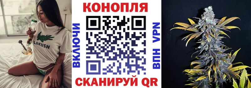 Бошки Шишки план  купить наркоту  мориарти официальный сайт  Саранск 